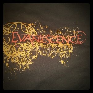 Evanescence concert hoodie